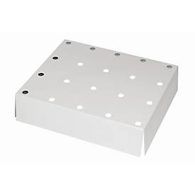 Lochblecheinsatz Standard für asecos Sicherheitsschränke der S-30 und UB90 Serie, Stahlblech, lichtgrau, B 420 x T 439 x H 60 mm, bis 75 kg