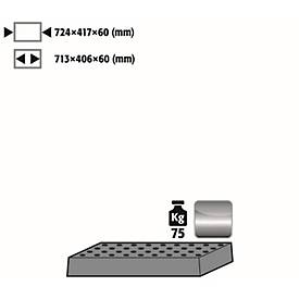 Lochblecheinsatz Standard für asecos Sicherheitsschränke der UB90 Serie, Edelstahl 1.4016, B 724 x T 417 x H 70 mm, bis 