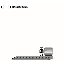 Lochblecheinsatz Standard für asecos Sicherheitsschränke der UB90 Serie, Edelstahl 1.4016, B 925 x T 364 x H 9 mm, bis 75 kg