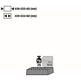 Lochblecheinsatz Standard für asecos Sicherheitsschränke der UB90 Serie, Stahlblech, lichtgrau, B 442 x T 345 x H 70 mm, bis 75 kg