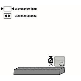 Image of Lochblecheinsatz Standard für asecos Sicherheitsschränke der UB90 Serie, Stahlblech, lichtgrau, B 950 x T 345 x H 66 mm, bis 75 kg