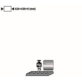 Image of Lochblecheinsatz Standard für asecos Sicherheitsschränke der UB90 und UB30 Serie, Edelstahl 1.4016, B 417 x T 436 x H 9 mm, bis 75 kg