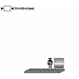 Image of Lochblecheinsatz Standard für asecos Sicherheitsschränke der UB90 und UB30 Serie, Edelstahl 1.4016, B 717 x T 436 x H 9 mm, bis 75 kg