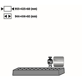 Image of Lochblecheinsatz Standard für asecos Sicherheitsschränke der UB90 und UB30 Serie, Edelstahl 1.4301, B 955 x T 425 x H 60 mm, bis 75 kg