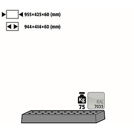 Image of Lochblecheinsatz Standard für asecos Sicherheitsschränke der UB90 und UB30 Serie, Stahlblech, lichtgrau, B 955 x T 425 x H 60 mm, bis 75 kg