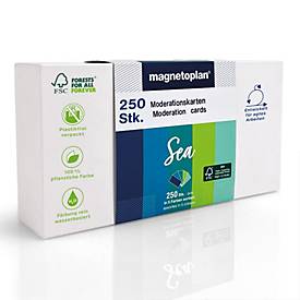Magnetoplan-presentatiekaarten Sea, rechthoekig, beschrijfbaar, B 200 x H 100 mm, in verschillende kleuren, 250 stuks