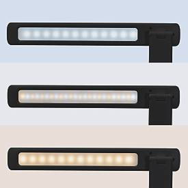 MAUL LED Tischleuchte MAULsally colour vario, 3 W, 325 lm, 3000-6500 K, dimmbar, Memory-Funktion, zusammenklappbar, IP20, USB-C, Akkubetrieb, schwarz