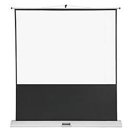Mobile Bildleinwand Franken, 4:3, für LCD & DLP, mit Ausziehgehäuse & Griff, 2 Größen