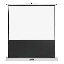 Mobile Bildleinwand Franken, 4:3, für LCD & DLP, mit Ausziehgehäuse & Griff, 2 Größen