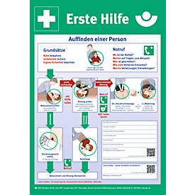 moedel Sicherheits-Aushang „Erste Hilfe“, gemäß DGUV 204-001, L 590 x B 410 mm, PVC, mehrfarbig