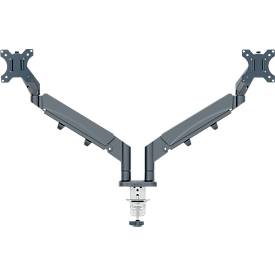 Monitorarm Leitz Ergo Dual, für 2 Displays bis 32' & bis 9 kg, dreh- und neigbar, höhenverstellbar, Kabelführung, VESA, dunkelgrau
