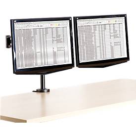 Monitorhalterung Fellowes Professional Doppel-Monitorarm