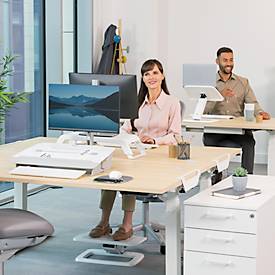 Monitorständer Fellowes Hana™ LT, für 1 Monitor bis 22,6 kg, 3-fach höhenverstellbar, mit Stauraum, B 560 x T 222 x H 102 mm, weiß