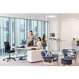 Monitorständer Fellowes Hana™ LT, für 1 Monitor bis 22,6 kg, 3-fach höhenverstellbar, mit Stauraum, B 560 x T 222 x H 102 mm, weiß