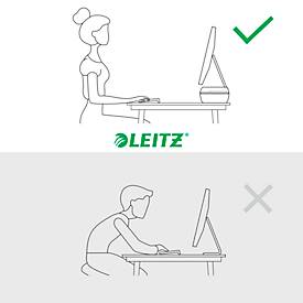 Monitorständer Leitz® Ergo, für 1 Display bis 27', höhenverstellbar, mit Stauraum für Tastatur, B 209 x T 438 x H 112 mm, hellgrau
