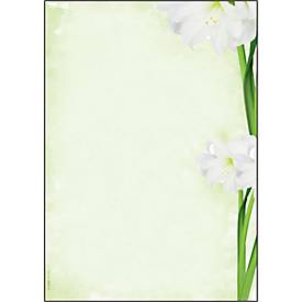 Motivpapier Sigel "Green Flower", A4, 90 g/m², Blumen-Motiv, 25 Blatt
