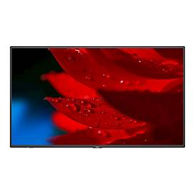 Image of NEC MultiSync MA431 MA Series - 108 cm (43") LCD-Display mit LED-Hintergrundbeleuchtung - 4K