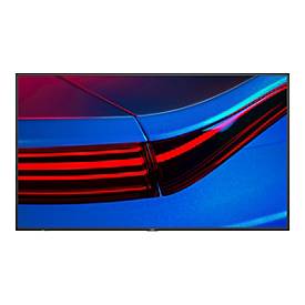 Image of NEC MultiSync P555 Professional Series - 138.8 cm (55") LCD-Display mit LED-Hintergrundbeleuchtung - 4K