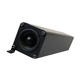 NEC SP-RM3a - Lautsprecher - für Monitor - 40 Watt (Gesamt)