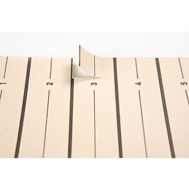 PAGNA Easy Rip Trennblätter, DIN A4-Format, Linienaufdruck, 10 Stück, schwarz