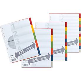 PAGNA Kartonregister mit Deckblatt in Überbreite, zur freien Verwendung, 12 Blätter, 6-farbig