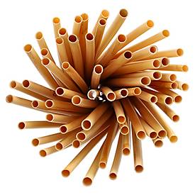 Papstar Schilf-Trinkhalme natur 20 cm, Ø 7 mm, aus nachwachsenden Rohstoffen, bis 80 °C, 100er Pack