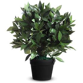 Plante artificielle Laurier - PE - H 500 mm