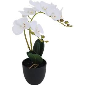 Plante artificielle meet by Paperflow Orchidée blanche, avec pot en plastique, H 400 mm, soie/plastique