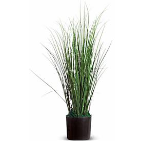 Plante de bureau Gras - PVC - H 550 mm