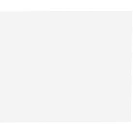 Plexiglas®-Einlagen