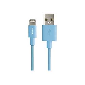Image of PNY Charge & Sync - Lightning-Kabel - USB männlich bis Lightning männlich - 1.2 m - Blau - für Apple iPad/iPhone/iPod (Lightning)