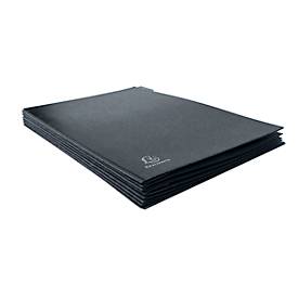 Pultordner Exacompta 57012E, Format A4, 12 Fächer, Taben 1-12/Jan-Dez, B 250 x H 330 mm, Blauer Engel, Recycling-Karton, schwarz