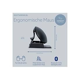 R-Go Ergonomische Maus Twister - Vertikale Maus - ergonomisch - rechts- und linkshändig - optisch - 3 Tasten