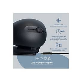 R-Go Ergonomische Maus Twister - Vertikale Maus - ergonomisch - rechts- und linkshändig - optisch - 3 Tasten