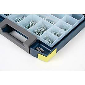 Raaco Sortimentskoffer Boxxser Boxxser 55 5x5-15, mit 15 Einsätzen, B 298 x T 284 x H 55 mm, aus Polycarbonat/Polypropylen, transparent/blau