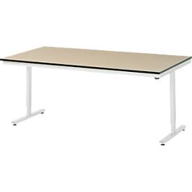 Rau Arbeitstisch Adlatus, elektrisch höhenverstellbar, 22 mm MDF-Platte, bis 150 kg, B 2000 x T 1000 x H 720-1120 mm, braun/lichtgrau