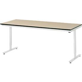 Rau Arbeitstisch Adlatus, elektrisch höhenverstellbar, 22 mm MDF-Platte, bis 150 kg, B 2000 x T 800 x H 720-1120 mm, bra