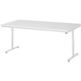 Rau Arbeitstisch Adlatus, elektrisch höhenverstellbar, 22 mm Spanplatte mit Melaminbelag, bis 150 kg, B 2000 x T 1000 x H 720-1120 mm, lichtgrau