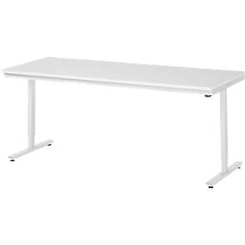 Rau Arbeitstisch Adlatus, elektrisch höhenverstellbar, 22 mm Spanplatte mit Melaminbelag, bis 150 kg, B 2000 x T 800 x H 720-1120 mm, lichtgrau