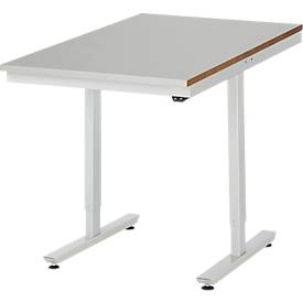 Rau Arbeitstisch Adlatus, elektrisch höhenverstellbar, 25 mm MDF-Platte, Edelstahlbelag, bis 150 kg, B 750 x T 1000 x H 720-1120 mm, silber/lichtgrau