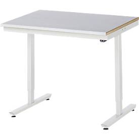 Rau Arbeitstisch Adlatus, elektrisch höhenverstellbar, 25 mm MDF-Platte, Stahlblechbelag, 150 kg, B 1000 x T 800 x H 720-1120 mm, silber/lichtgrau