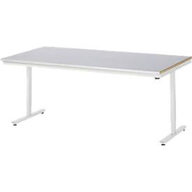 Rau Arbeitstisch Adlatus, elektrisch höhenverstellbar, 25 mm MDF-Platte, Stahlblechbelag, 150 kg, B 2000 x T 1000 x H 720-1120 mm, silber/lichtgrau