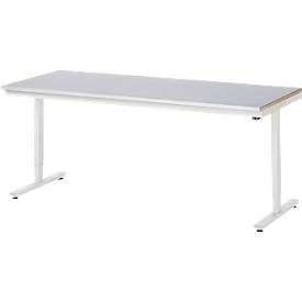 Rau Arbeitstisch Adlatus, elektrisch höhenverstellbar, 25 mm MDF-Platte, Stahlblechbelag, 150 kg, B 2000 x T 800 x H 720-1120 mm, silber/lichtgrau