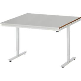 Rau Werktisch Adlatus, elektrisch höhenverstellbar, 25 mm MDF-Platte mit Stahlblechbelag, 300 kg, B 1250 x T 1000 x H 720-1120 mm, silber/lichtgrau
