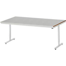 Rau Werktisch Adlatus, elektrisch höhenverstellbar, 25 mm MDF-Platte mit Stahlblechbelag, 300 kg, B 2000 x T 1000 x H 720-1120 mm, silber/lichtgrau
