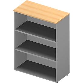 Regal ARLON OFFICE, 3 Ordnerhöhen, 2 variable Fachböden, B 900 x T 450 x H 1232 mm,