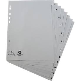 Register Exacompta 1912E, Format A4, Universallochung, Taben 1-12, B 225 x H 297 mm, Blauer Engel, Recycling-Kunststoff, grau