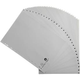 Register Exacompta 1931E, Format A4, Universallochung, Taben 1-31, B 225 x H 297 mm, Blauer Engel, Recycling-Kunststoff, grau