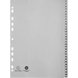 Register Exacompta 1931E, Format A4, Universallochung, Taben 1-31, B 225 x H 297 mm, Blauer Engel, Recycling-Kunststoff, grau