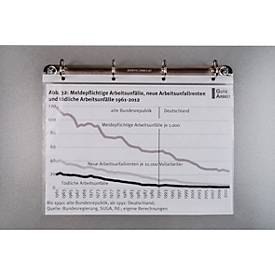 Ringschiene Eichner, für Sichthüllen, magnethaftend, bis 1kg, B 310 x T 30 x H 50 mm, silber